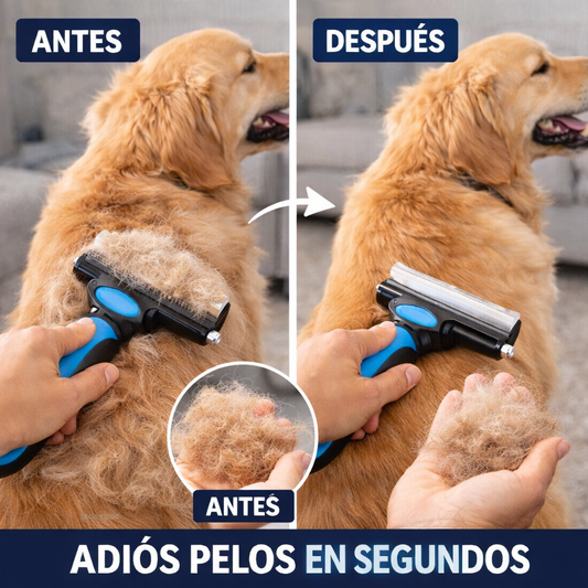 Menos pelo en casa desde el primer cepillado 🐶🐱✨