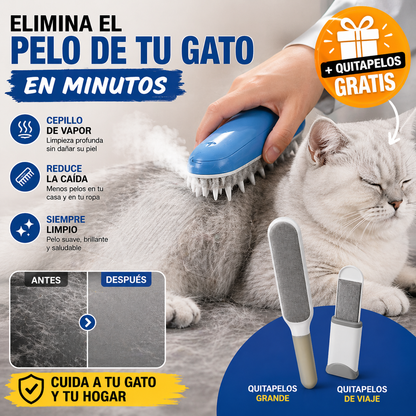 ¿Tu casa llena de pelos aunque limpies todos los días?