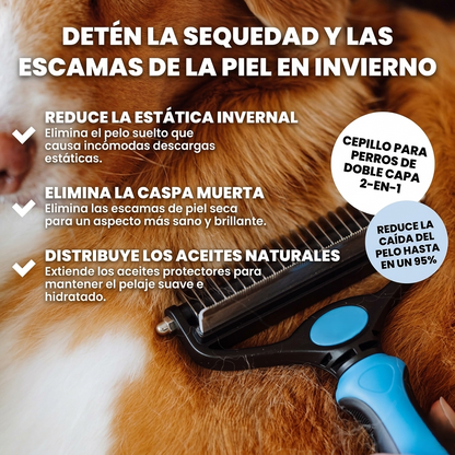 Menos pelo en casa desde el primer cepillado  🐶🐱✨
