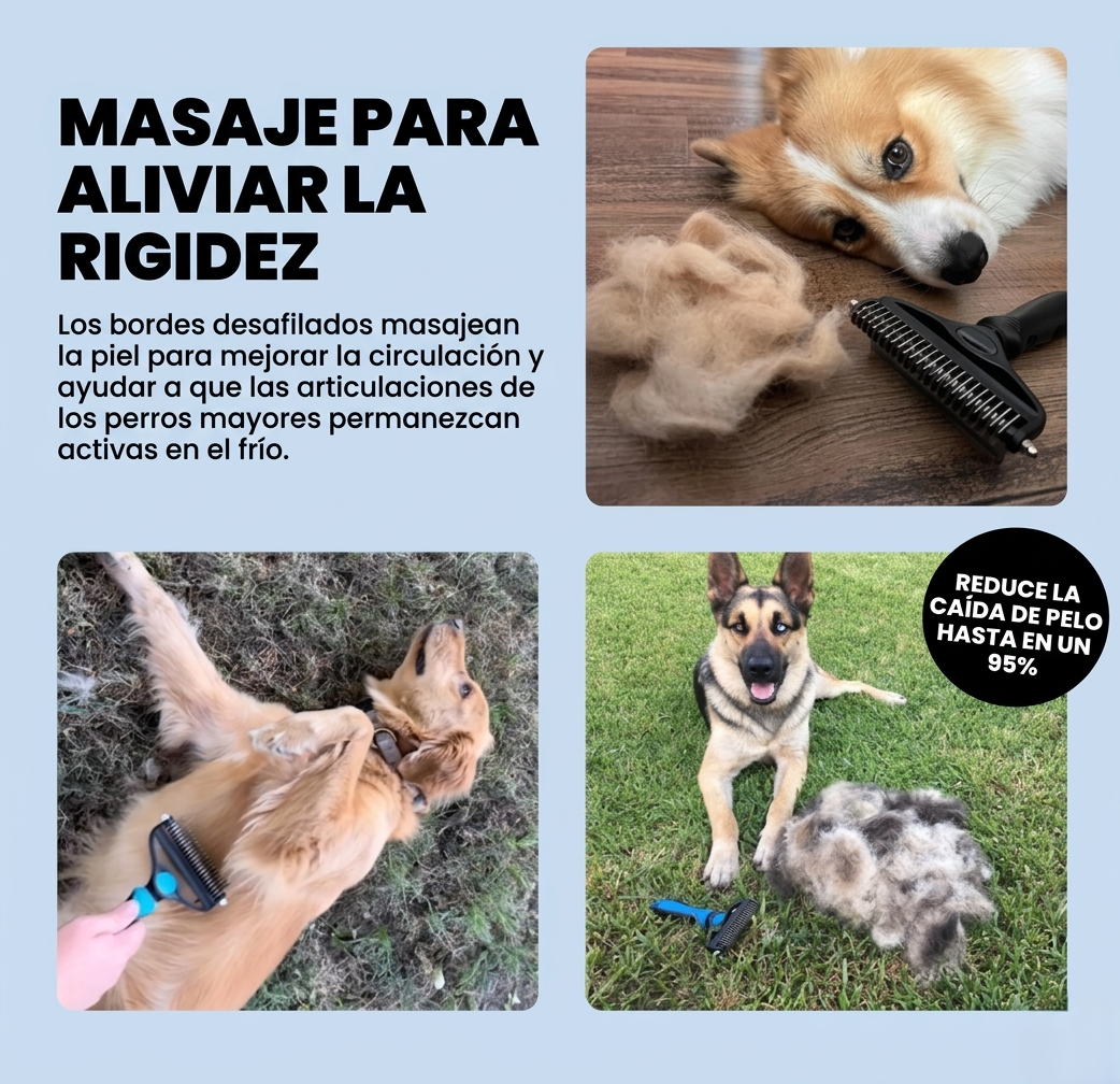 Menos pelo en casa desde el primer cepillado  🐶🐱✨