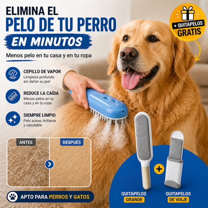 ¿Tu casa llena de pelos aunque limpies todos los días?